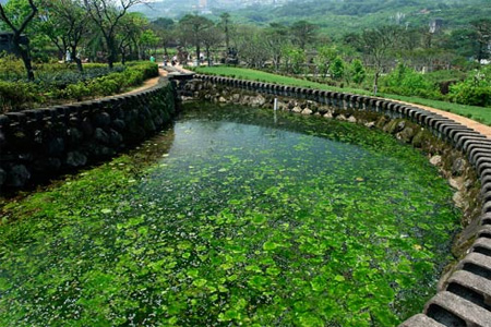 Zipper Pond by Ju Chun