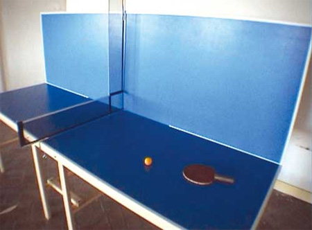 Extreme Ping Pong Table Designs 3