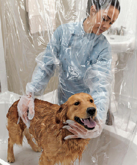 Pet Shower Curtain