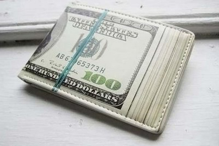 Hundred Dollar Bill Wallet