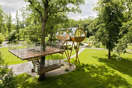 Modern Tree House