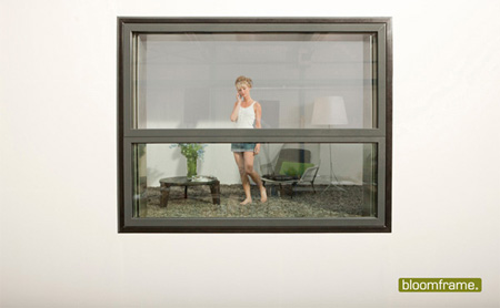 Bloomframe Window