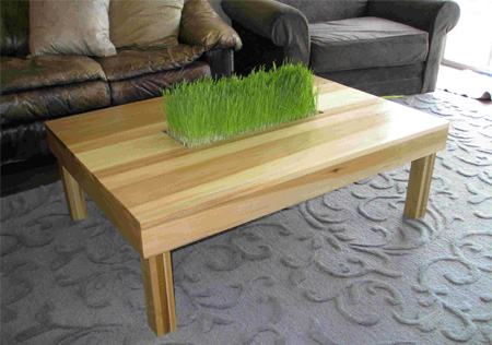 Indoor Grass Table