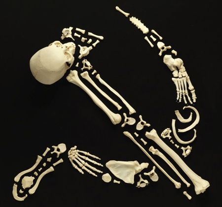 Human Bone Sculpture