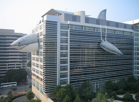 Inflatable Shark Building