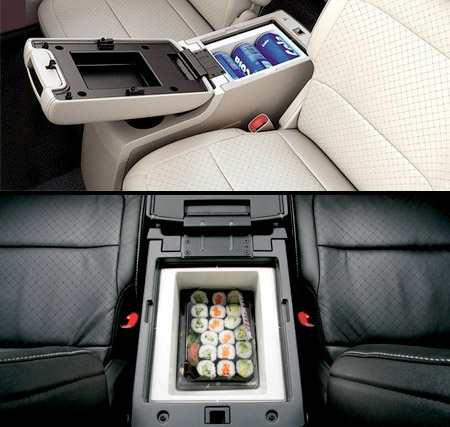 Cars with store inbuilt fridge