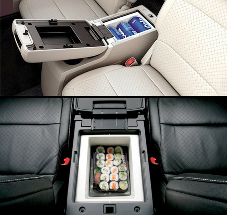 Car Refrigerator