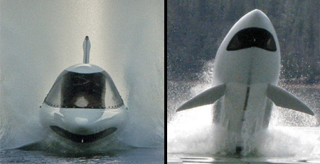 Shark Shaped Watercraft