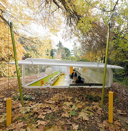 Office in a Forest