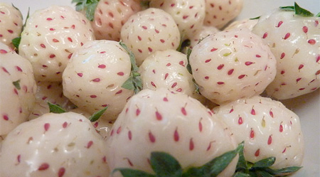 Pineberries