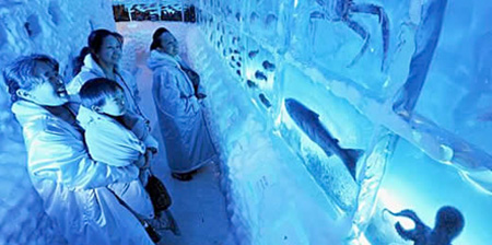 Frozen Aquarium in Japan