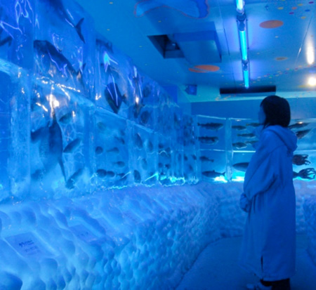 Frozen Aquarium