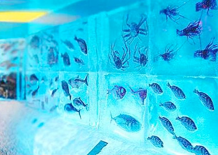 Icy Aquarium