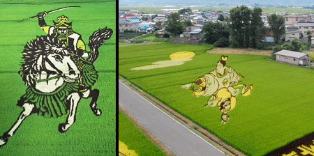 Rice Field Art in Japan