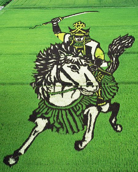 Rice Field Art