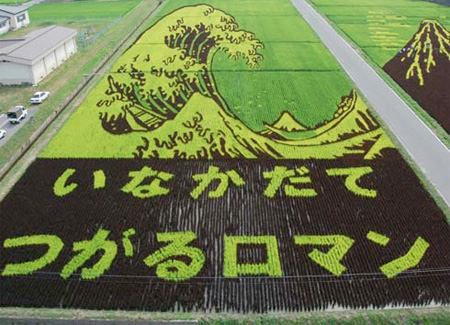 Japanese Rice Art