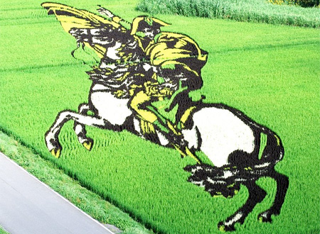 Japanese Field Art