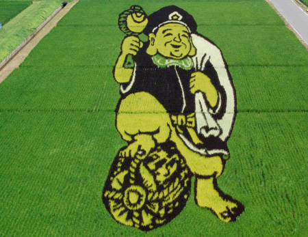 Rice Fields Art in Japan