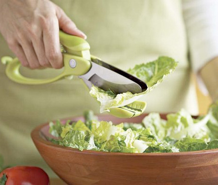 Salad Scissors