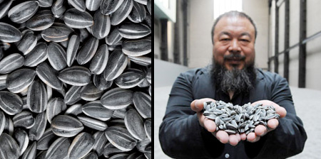 Floor Covered with Sunflower Seeds