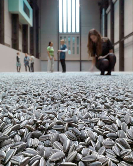 Sunflower Seeds Floor