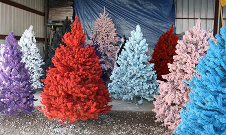 Colorful Christmas Trees