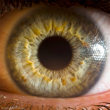 Macro Eye