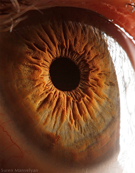 Eye Closeup