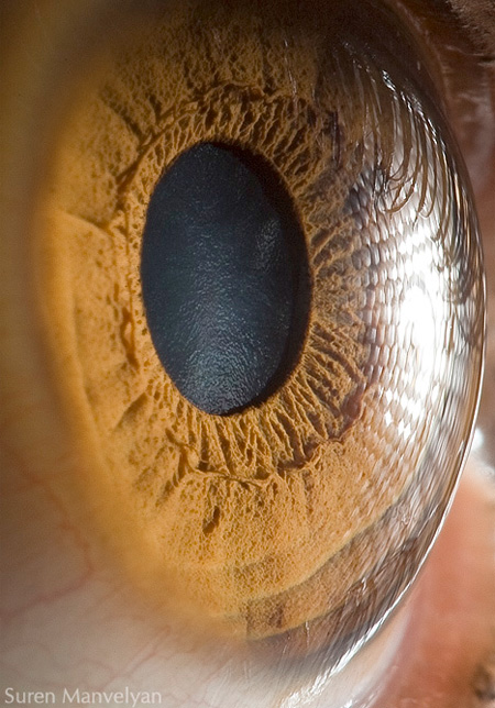 Human Eye Closeup