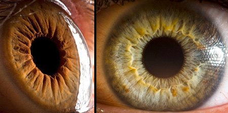 Amazing Photos of Human Eyes