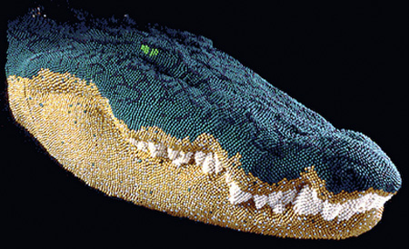 Matchstick Crocodile