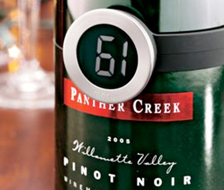 Wine Bottle Thermometer