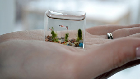 Smallest Aquarium