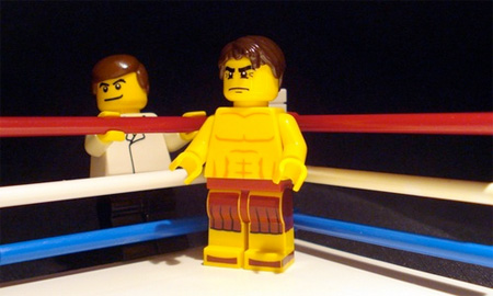 LEGO The Fighter