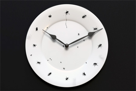 Time Flies Clock