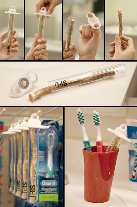 Twig Toothbrush