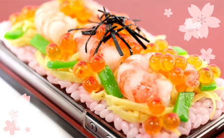 Sushi iPhone Case