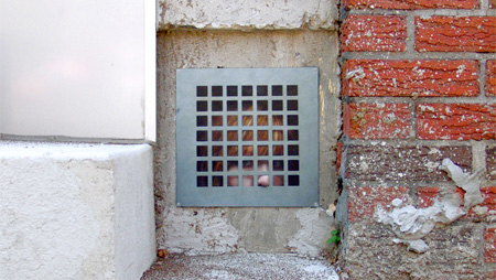 Dan Witz Street Art