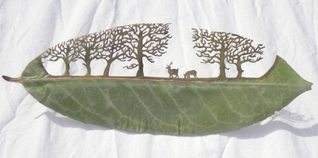 Beautiful Leaf Art