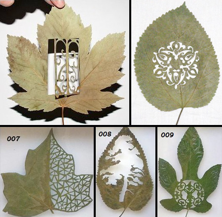 Leaf Art