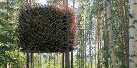 Birds Nest Tree House