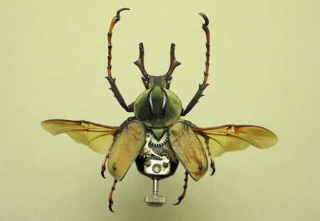 Steampunk Beetle