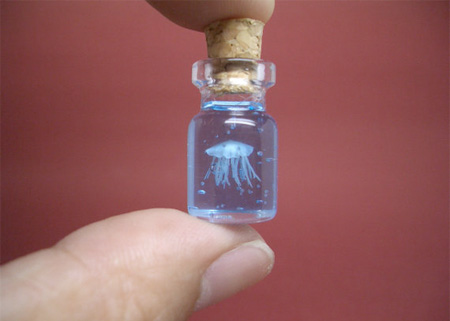 Tiny Jellyfish