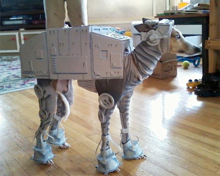 AT-AT Dog