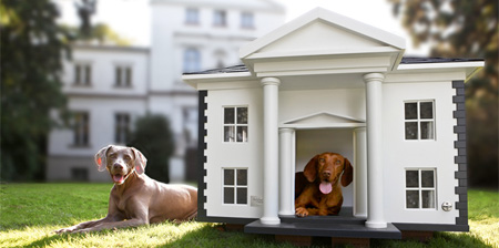 Dog Mansions