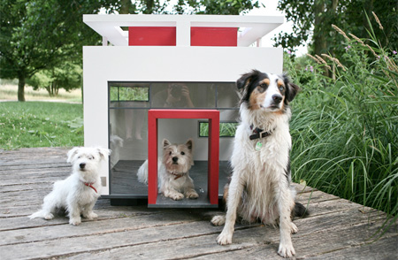 Modern Doghouse