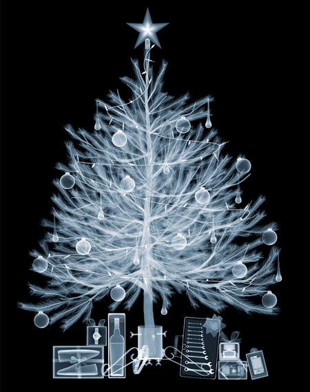 X-Ray Christmas Tree