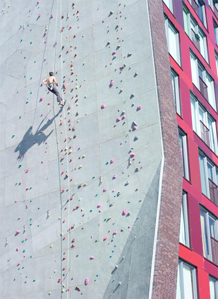 Climbing Wall Apartment