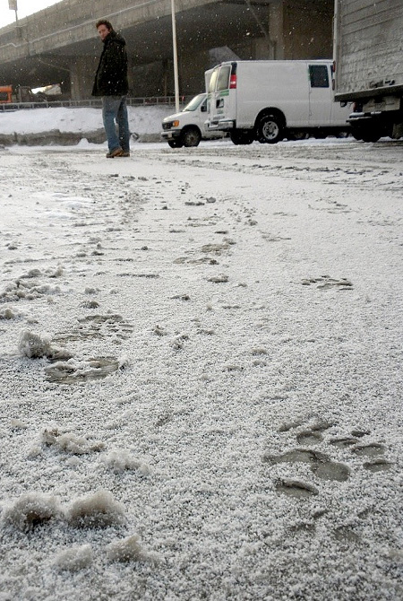 Animal Footprints