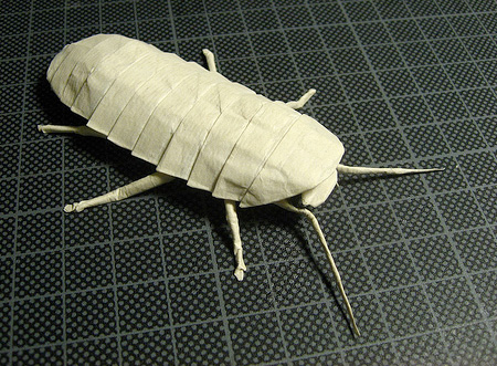 Paper Cockroach